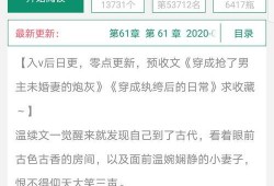 v1小说