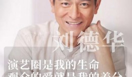 娱乐圈是我的